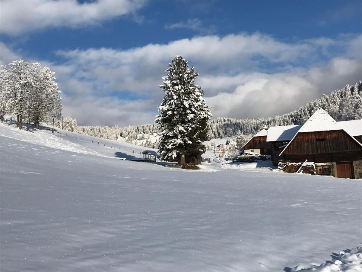 Wohlfuehlpension Kreischberg Inklusive Murau Sommergaestecard Ab 2 Naechte Sankt Georgen ob Murau Exterior photo