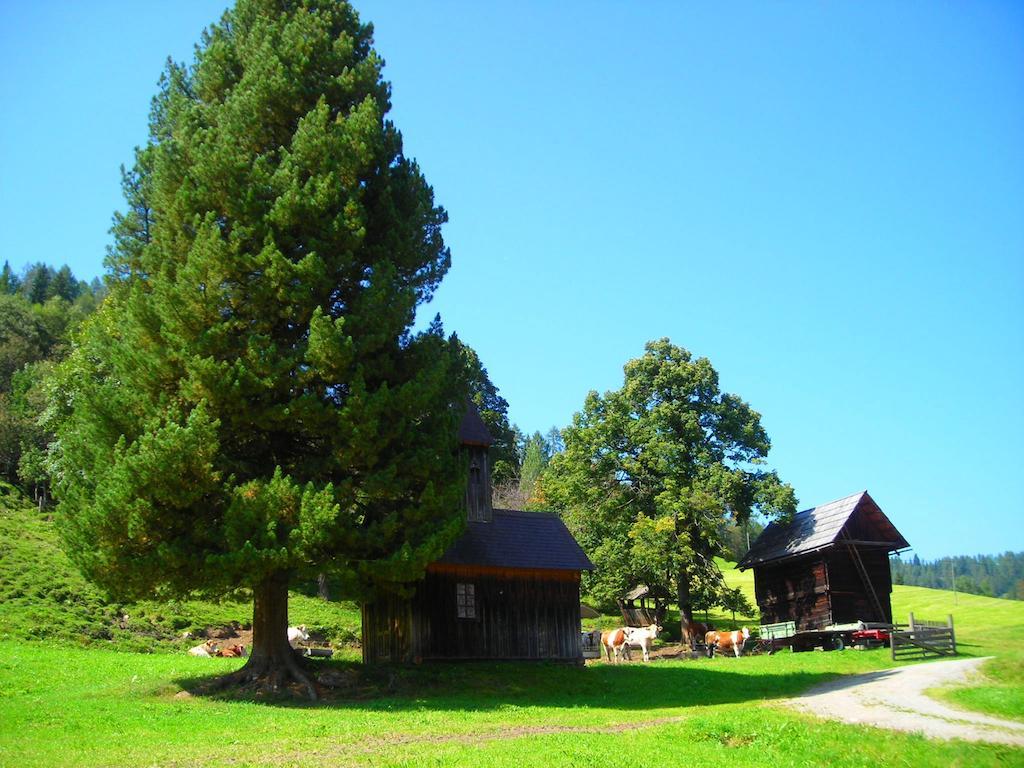Wohlfuehlpension Kreischberg Inklusive Murau Sommergaestecard Ab 2 Naechte Sankt Georgen ob Murau Exterior photo